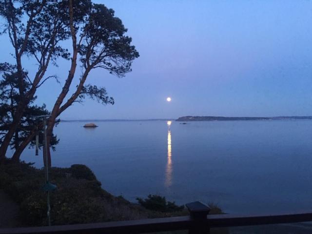 Puget Sound Chic Romantic Cottage With Private Beach Access & Gated Entry Port Ludlow 외부 사진